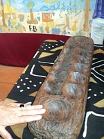 dsc01486